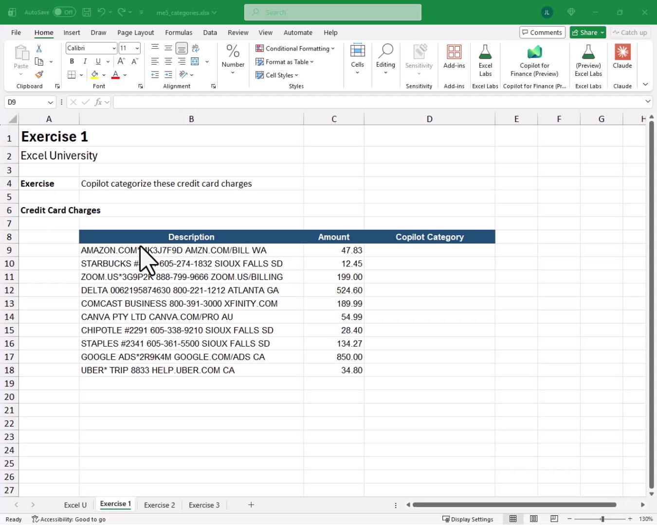 Exercise 1 worksheet showing a table of raw credit card descriptions and amounts with an empty Copilot Category column.