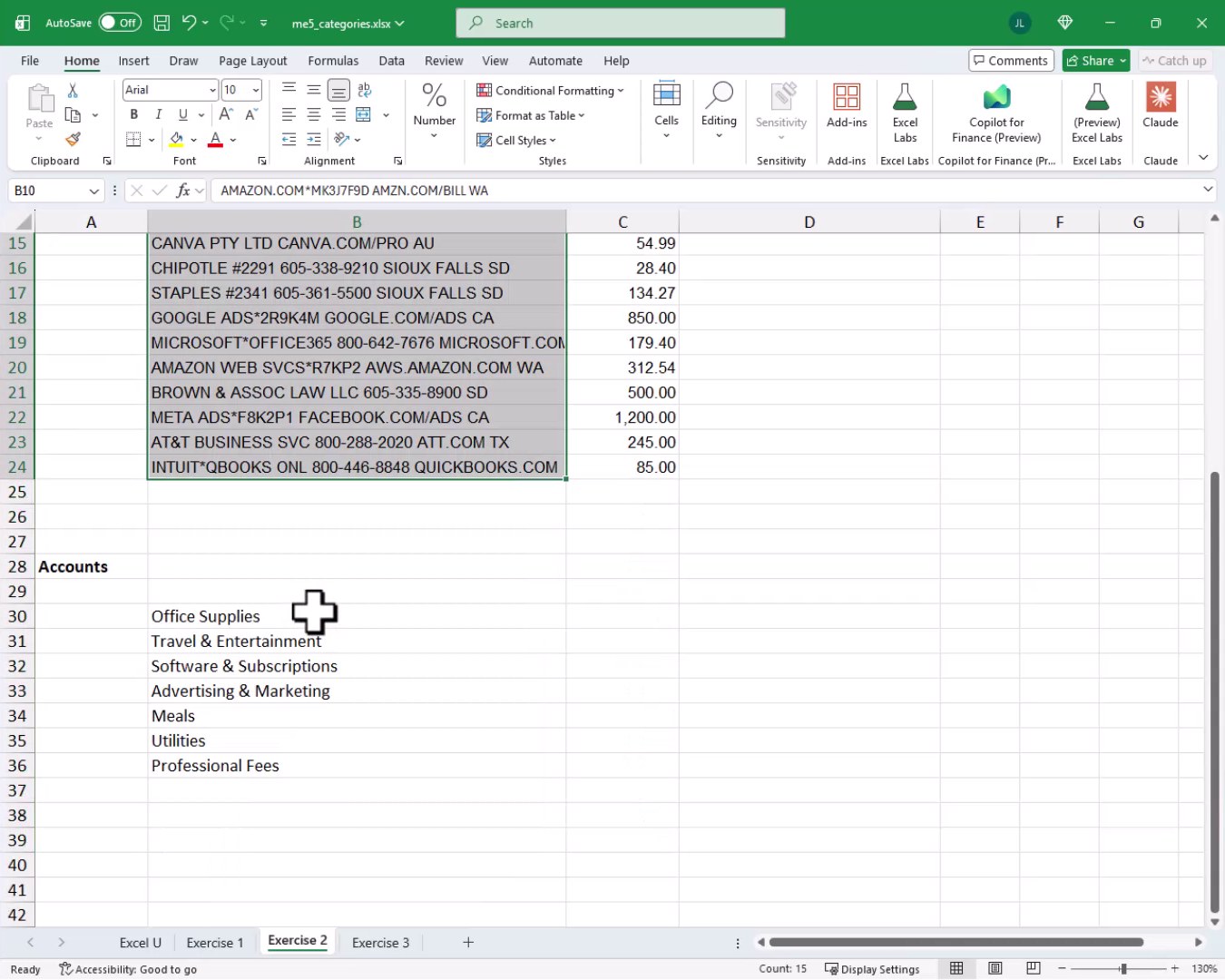 Exercise 2 worksheet showing credit card charges in rows 10 through 24 and an Accounts list below with categories like Office Supplies, Travel and Entertainment, and Software and Subscriptions.