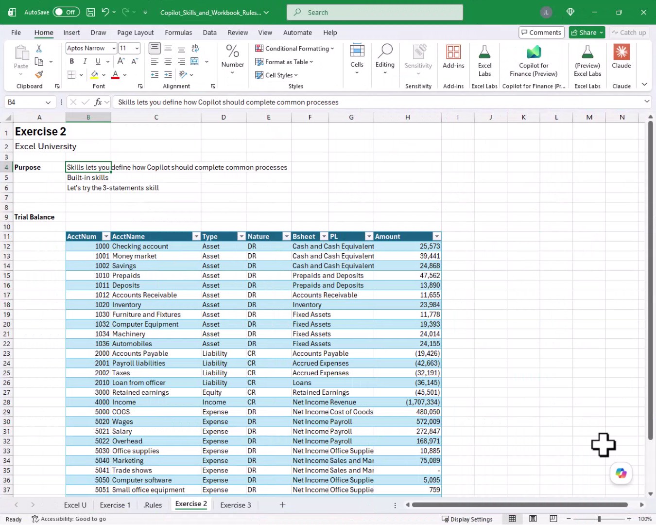 Exercise 2 worksheet showing a raw Trial Balance table with columns for AcctNum, AcctName, Type, Nature, Bsheet, PL, and Amount.