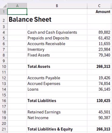 Final Balance Sheet output generated by the custom financials skill, showing clean layout with asset, liability, and equity sections and a Total Liabilities and Equity of 266,313.