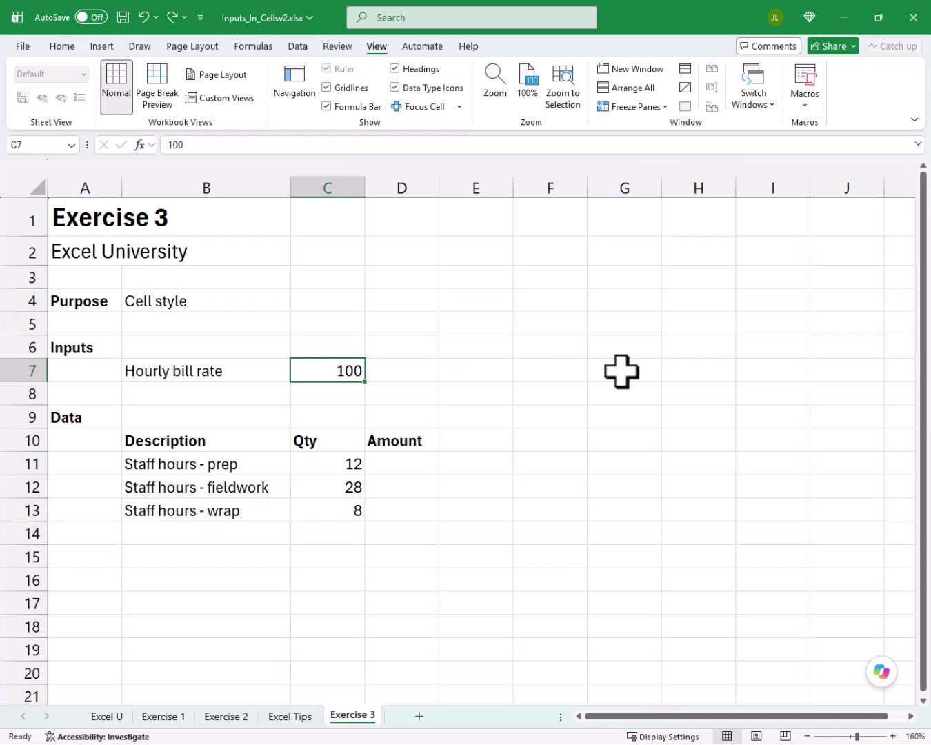 Exercise 3 worksheet setup with cell C7 selected, showing the hourly bill rate value of 100 ready for styling.