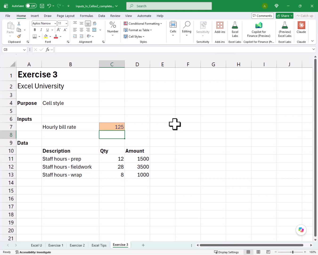 Exercise 3 final result with the Input-styled cell C7 showing 125 and the Amount column updated to 1500, 3500, and 1000.