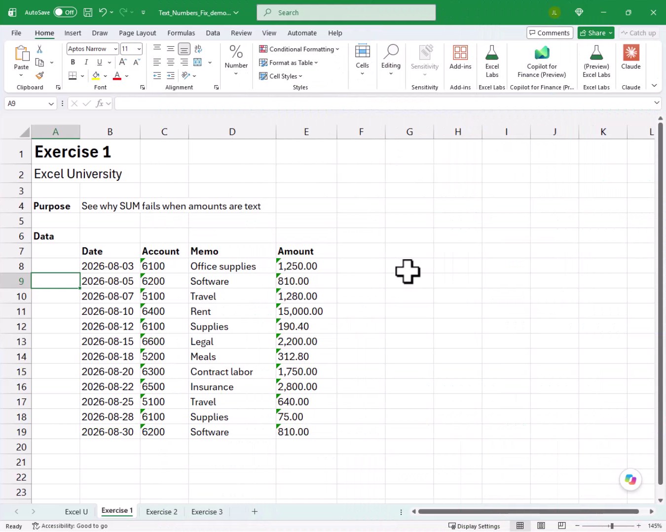 Exercise 1 dataset with amounts in column E showing green error triangles indicating numbers stored as text.