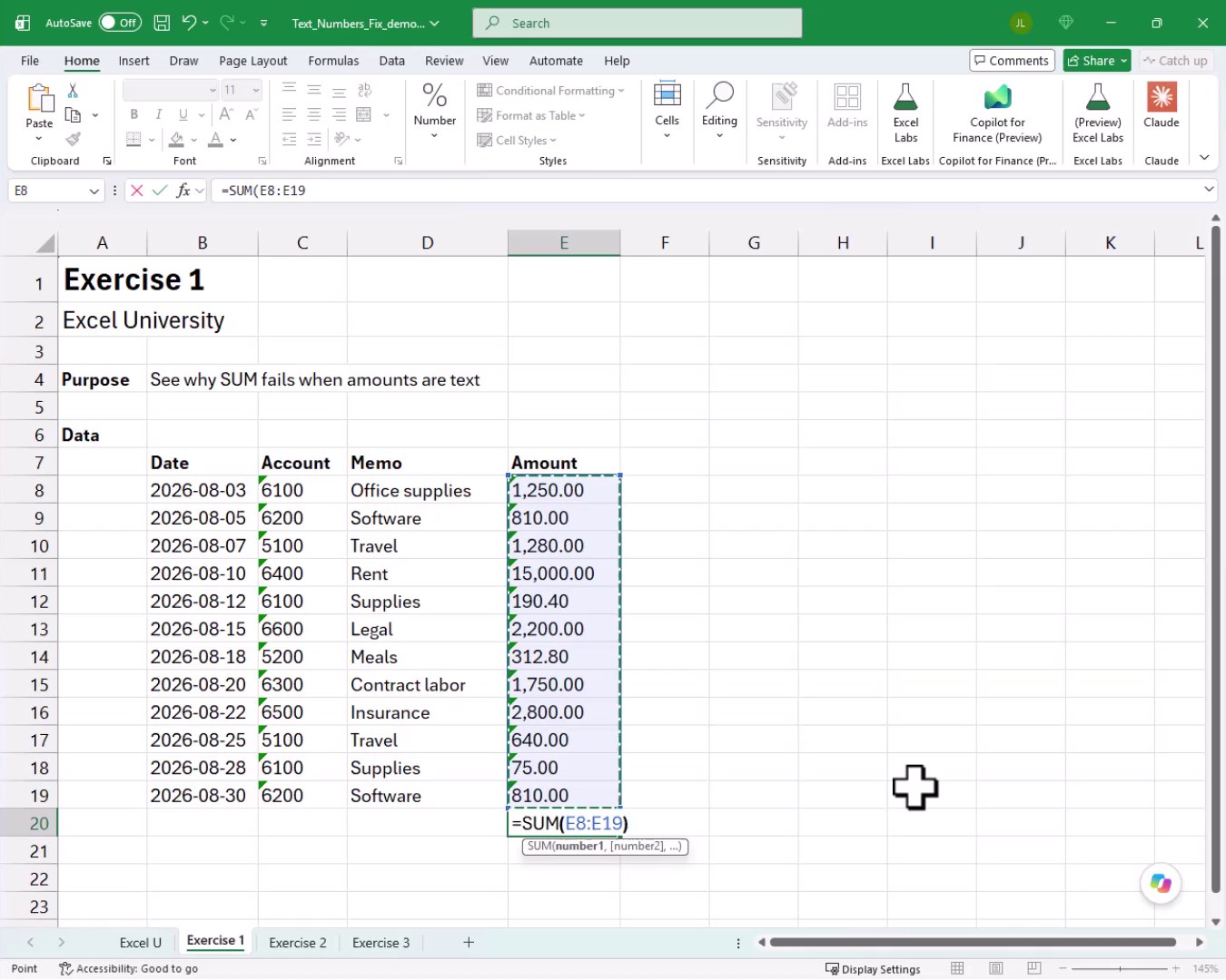 SUM formula =SUM(E8:E19) being entered in cell E20 with the range highlighted.